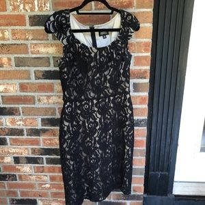 Adrianna Papell Black Lace Dress